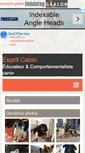 Mobile Screenshot of espritcanin.com